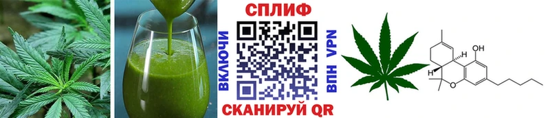 блэк спрут ссылка  Монино  Cannafood конопля 