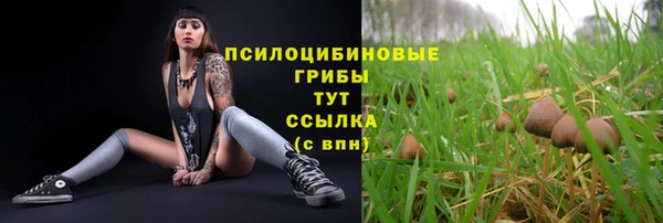 ГАЛЛЮЦИНОГЕННЫЕ ГРИБЫ Майский