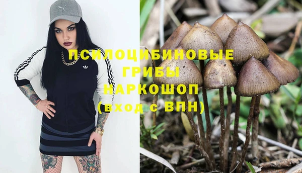 винт Магадан