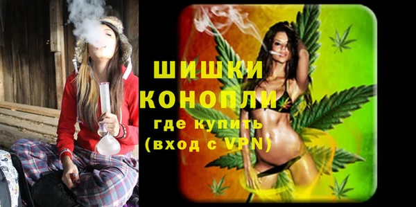 ГАЛЛЮЦИНОГЕННЫЕ ГРИБЫ Майский